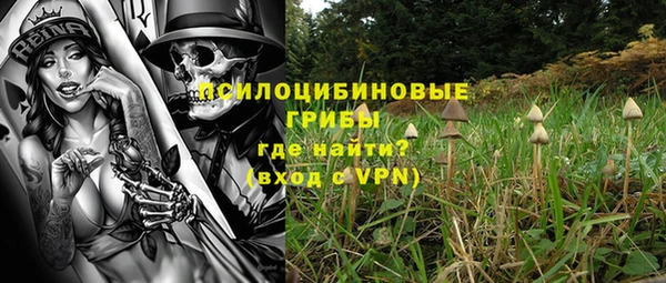 а пвп мука Армянск